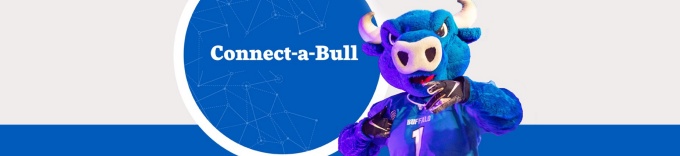 Connect-a-Bull. 