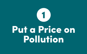 (1) Put a price on pollution. 