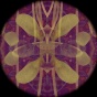 An still from a film where sprouting plants are seen through a kalidesope. 