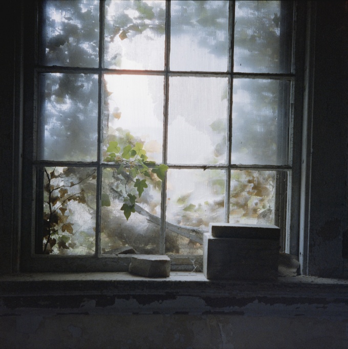 A weathered multi-pane window in a deteriorating interior, its textured glass diffusing soft, hazy light. A vine with green and yellowing leaves grows through a broken lower pane. Two worn, rectangular objects rest on the crumbling windowsill. Beyond the glass, trees are visible in soft focus. 