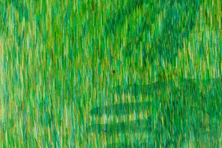 Detail of a drawing by Mara Baldwin depicting dense, vertical grass rendered in layered shades of green, yellow-green, and teal. A small black tick is visible near the center of the composition, and shadowy hand forms emerge subtly from the grass below. 