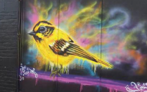 Vibrant street art of a painted yellow finch. 