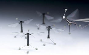 Robot Bees. 
