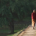 Buddhism, Law and Society: Between Text and Context. 