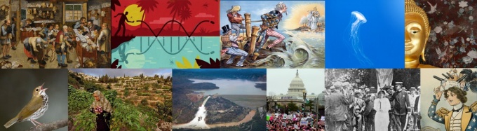 Baldy center collage. 