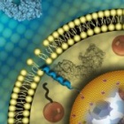 Illustration courtesy of NIH Nanotechnology Image Library collection. 