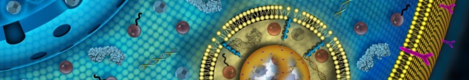 Illustration courtesy of NIH Nanotechnology Image Library collection. 