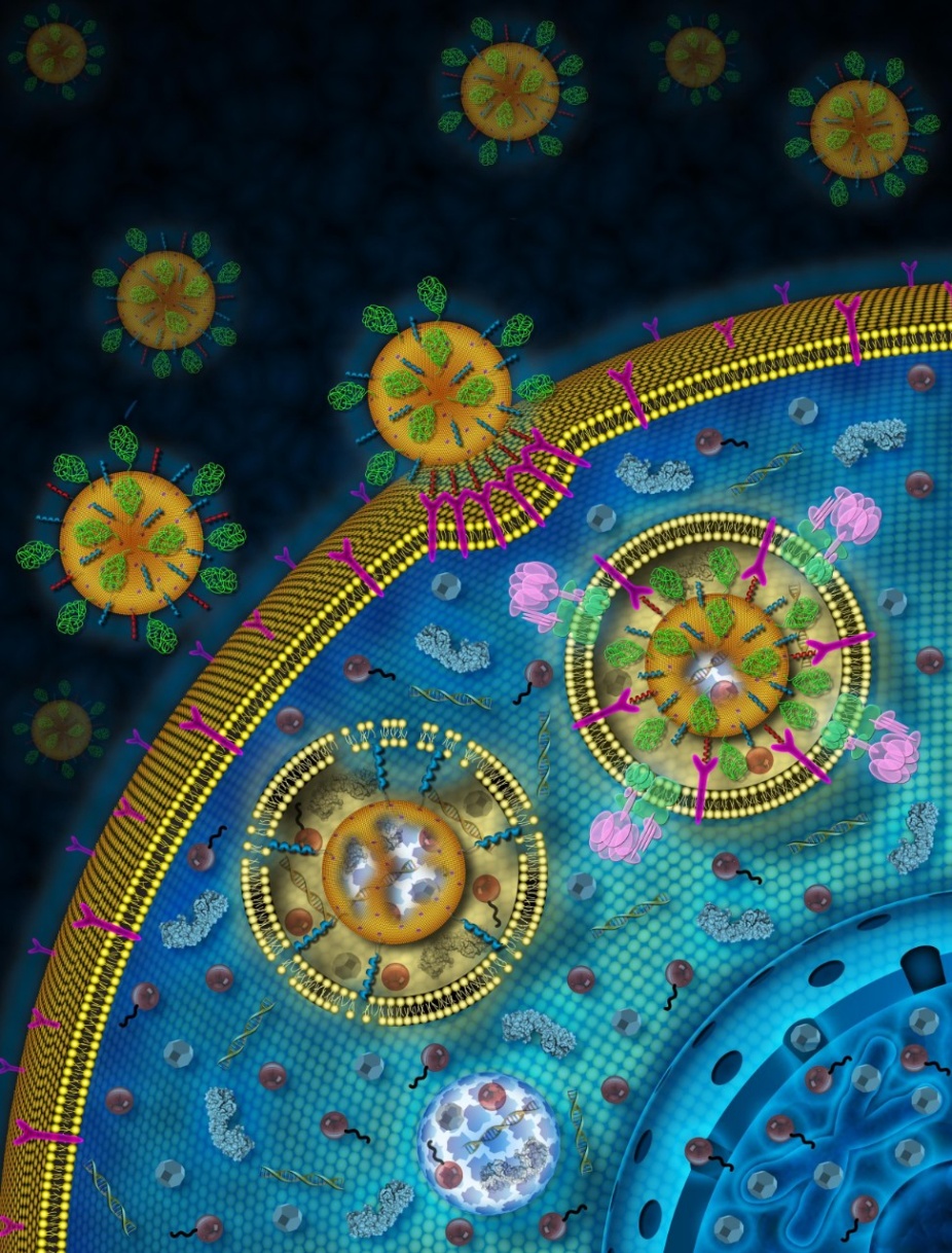 Medical Posthumanities: Governing Health Beyond the Human. 