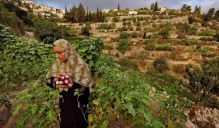 Environmental Justice in the Occupied Palestinian West Bank. 