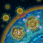 2021 Baldy Center Workshop &mdash; Medical Posthumanities: Governing Health Beyond the Human. Illustration courtesy of NIH Nanotechnology Image Library. 