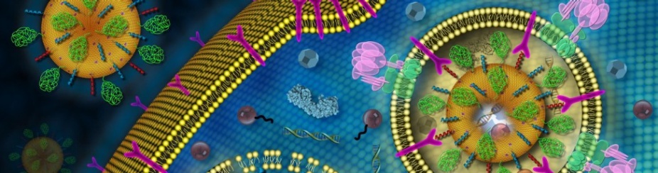 2021 Baldy Center Workshop — Medical Posthumanities: Governing Health Beyond the Human. Illustration courtesy of NIH Nanotechnology Image Library. 