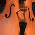 Episode 27: Seth Parker Woods discusses the positioning of the cello, oral and written histories, Classical music, Black composers, and performance installations. 