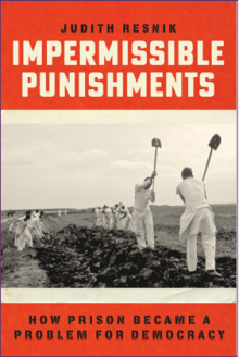 Book cover: Impermissible Punishments: How Prison Became a Problem for Democracy. 