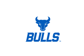 Zoom image: Spirit Mark with centered Bulls Wordmark