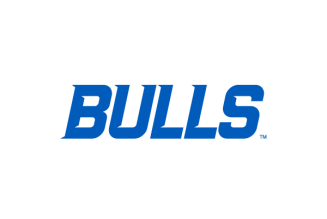 Bulls wordmark. 