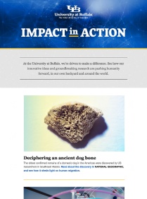 Impact in Action. 