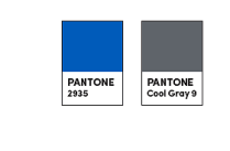 Pantone color profile icon. 