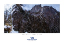 Zoom image: Option H15: Bronze Bison with Snow 
