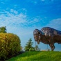 Bronze statue of a buffalo on top of a grassy hill. 