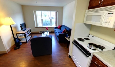 Flint Village 2 bed 1 bath Kitchen & Living Room (Panoramic View). 