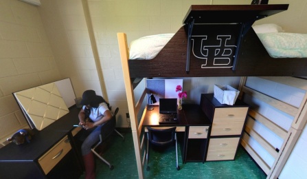 lofted bed with desk underneath. 