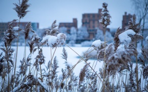 Winter at Baird Point University at Buffalo. 