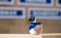 Zoom image: Stuffed goose plushie with campus living bandana staged in front of Campus Living pennant wall.