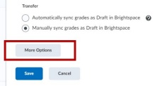 Zoom image: Click on More Options button in the Turnitin Integrations menu. 