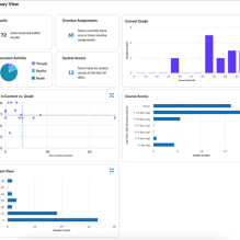 Zoom image: A Brightspace Insights Portal report. 
