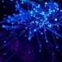 Generic blue neuron lights. 
