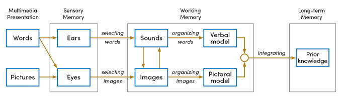 Zoom image: Cognitive Theory of Multimedia Learning that shows connections between multimedia presentations, sensory memory, working memory and ling-term memory.