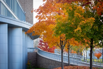 Fall colors around the pharmacy building on South Campus. 