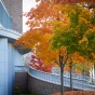 Fall colors around the pharmacy building on South Campus. 