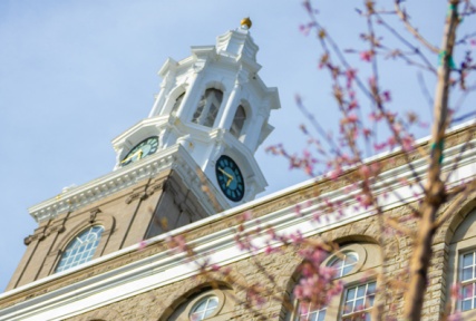 Cherry trees, newly planted around Hayes Hall. 