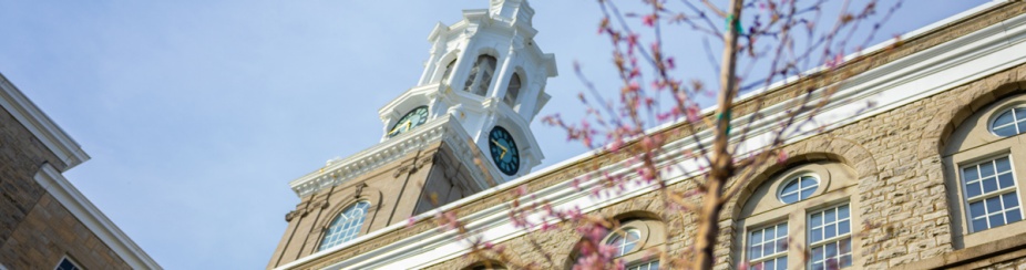 Cherry trees, newly planted around Hayes Hall.
