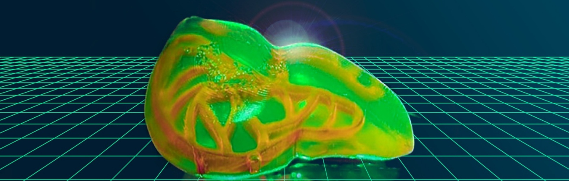 3D printed human liver rendering. 