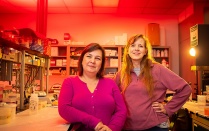 Ann-Marie Torregrossa and Kathryn Medler. 
