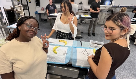 CLIMB UP 2024 participants (left to right) Elizabeth Muriithi, Dee Nossir and Christina Hinojosa in the Surgery Lab in the Jacobs School of Medicine and Biomedical Sciences. 