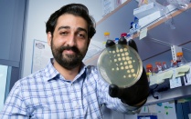 Kalem Murat Microbiology & Immunology. 
