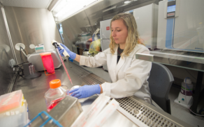 School of Pharmacy student in lab. 