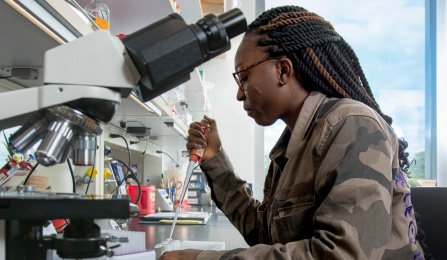 CLIMB UP lab pipette. 