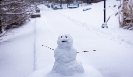 A snow figure outside Davis Hall in Grace Plaza. 