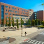 Greiner Hall in the Spring. 