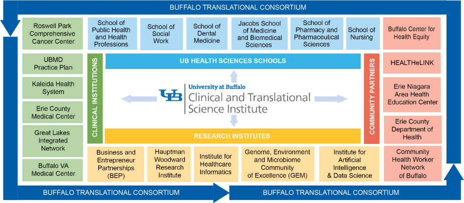 Zoom image: The Clinical and Translational Science Institute is the coordinating center of the Buffalo Translational Consortium. 