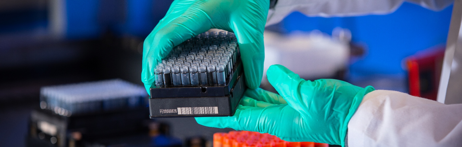 Photo of a researcher's gloved hands as they handle samples. 