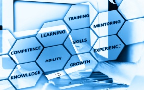 "Hive"-style graphic with words such as GROWTH, SKILLS, and MENTORING. 