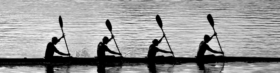 Photo of four people rowing on a lake in unison. 