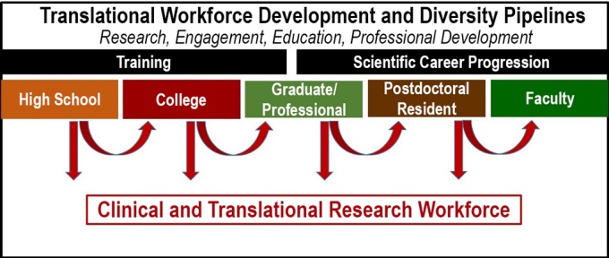 Zoom image: Workforce development and diversity pipelines 