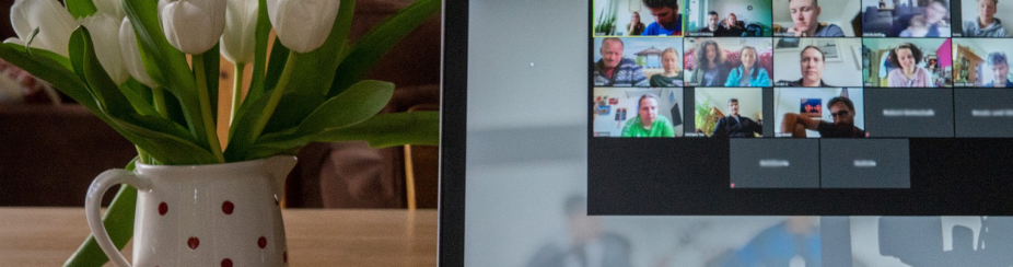 Photo of a laptop on a desk with a Zoom meeting on the screen; a mouse and potted flower are seen on the left side of the computer. 