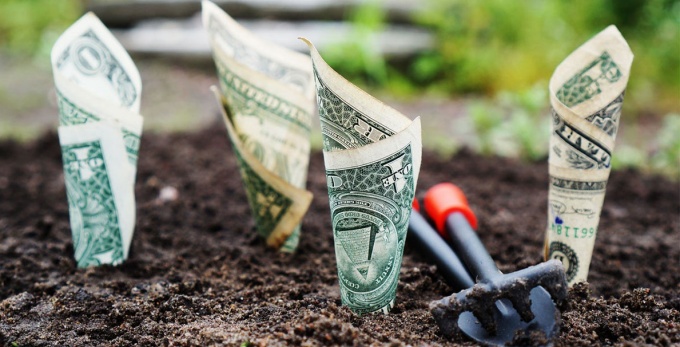money growing from seeds in a garden. 